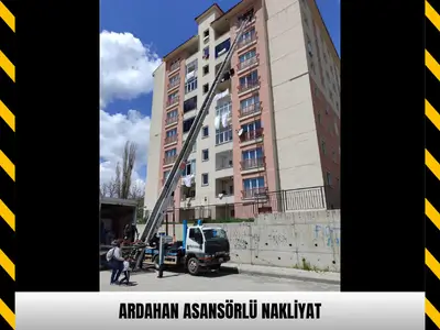Ardahan Asansörlü Nakliyat